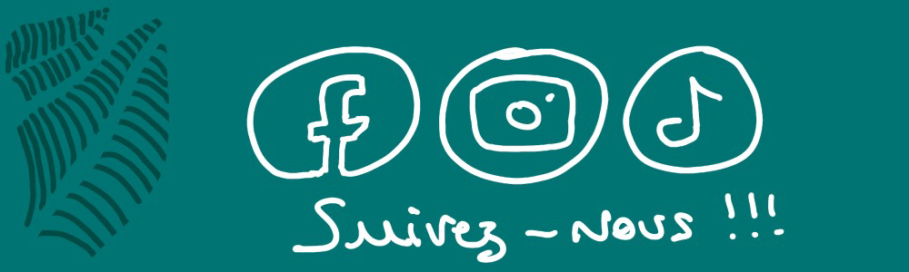 image slider